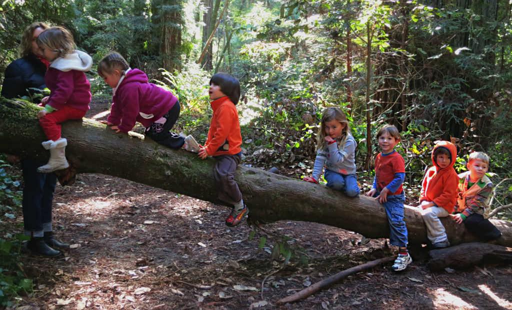 Private preschools in Soquel and Aptos. Best schools in Santa Cruz.