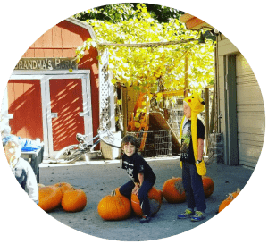 Santa Cruz Schools private,elemetary and preschool