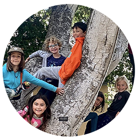 Best private schools in Santa Cruz