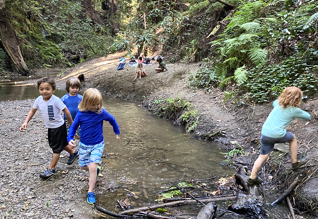 Santa Cruz best private school, Soquel,CA. Tara Redwood School