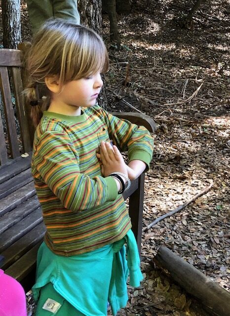 Mindfulness in school,nature school, best school in Santa Cruz