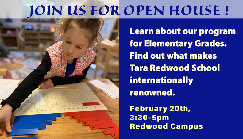 School open house, best school in Santa Cruz, Montessori