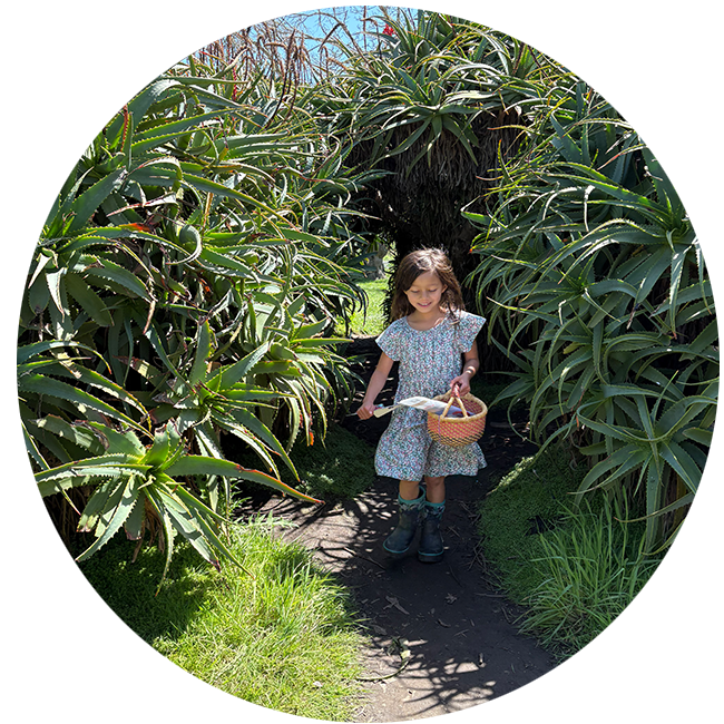 Tara Redwood School best private school in Santa Cruz, Soquel,CA. Montessori, forest school