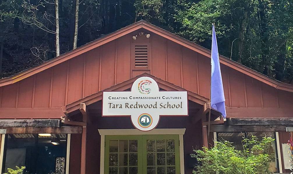 Best schools in Santa Cruz for Elementary and preschool in Soquel and Aptos