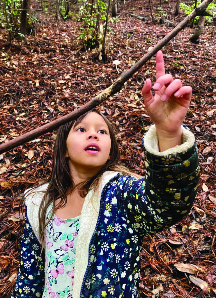 Soquel Elementary independent,Tara Redwood School, best private schools in Santa Cruz