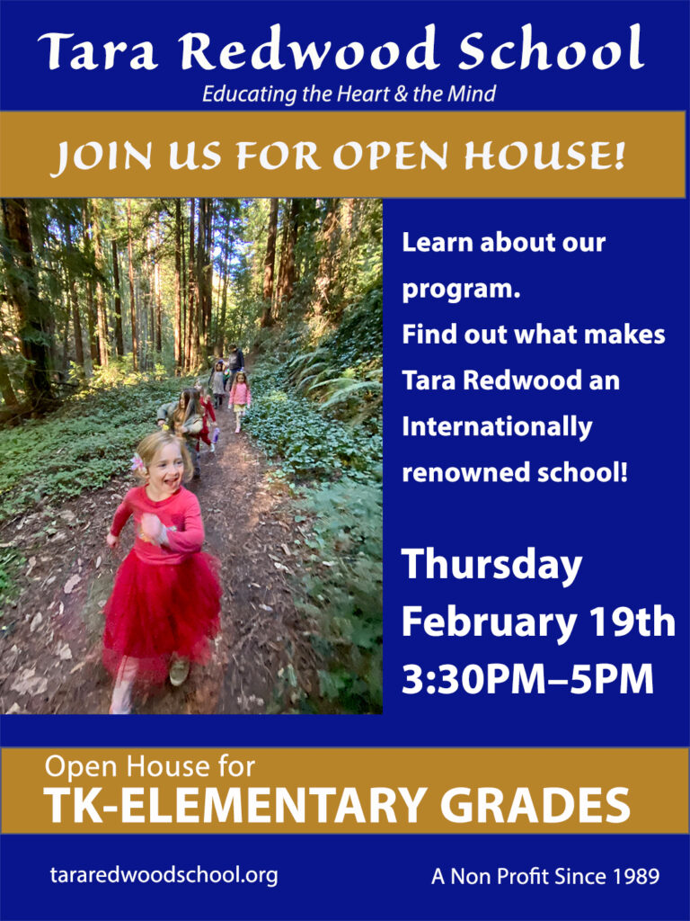 Best Preschool and elementary school in Santa Cruz County